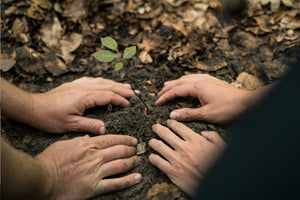 408 Trees Planted in Peru