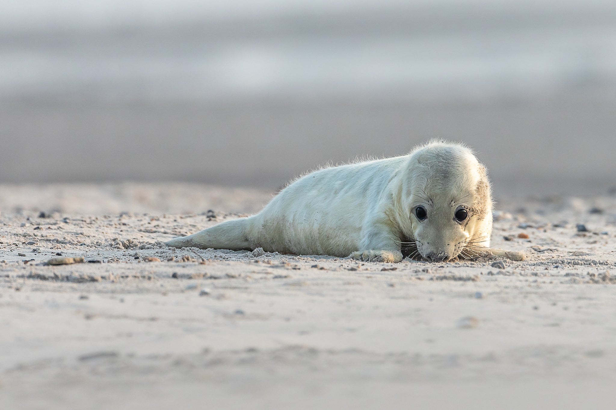 A long weekend in Helgoland